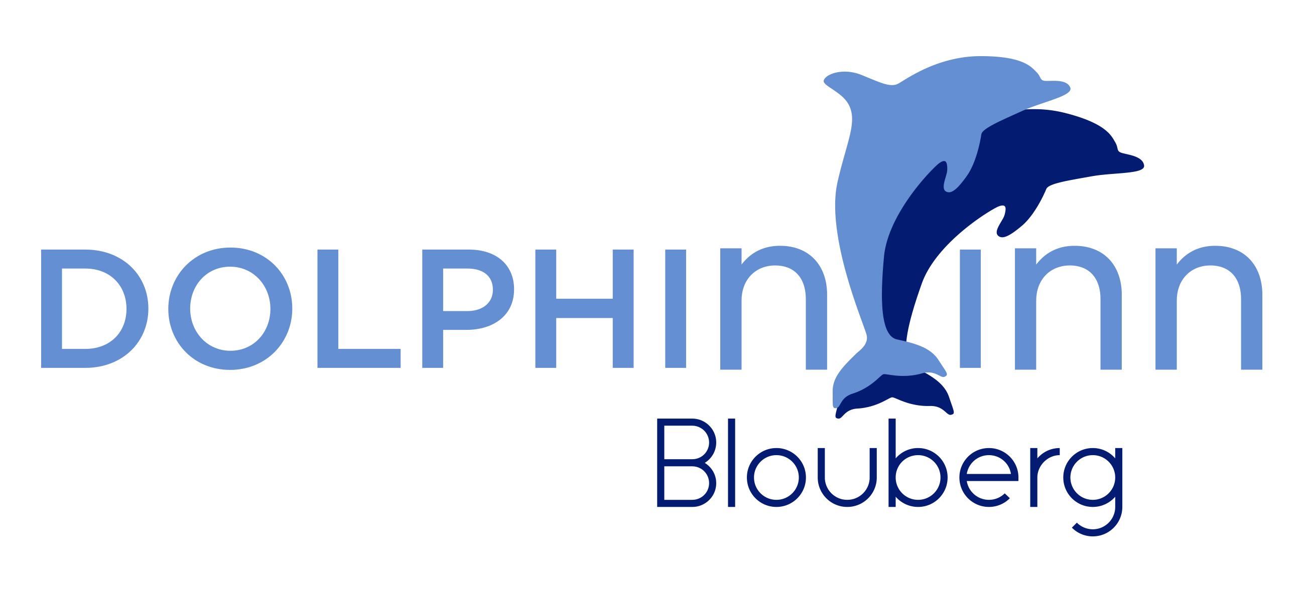 dolphin inn blouberg